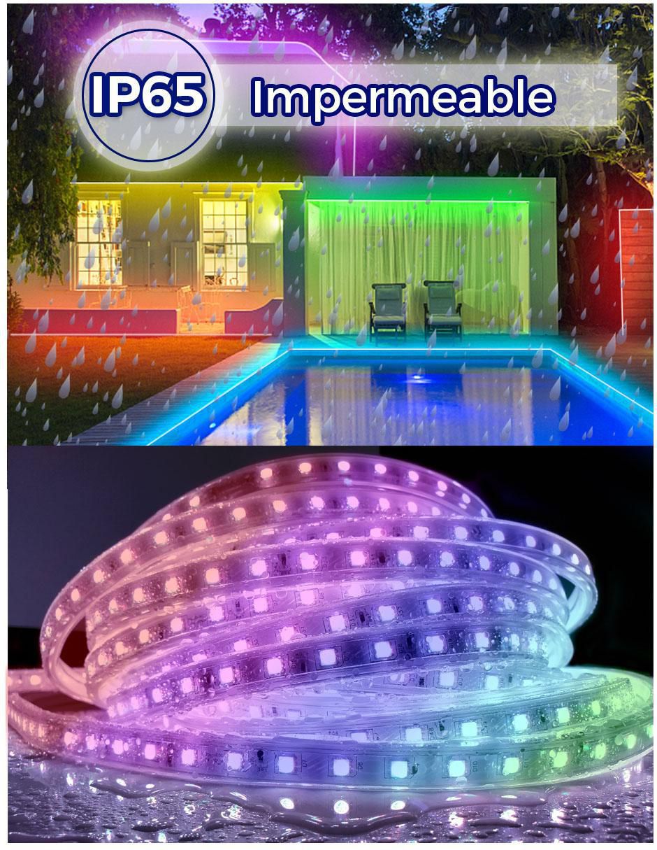 Serie led con 1500 focos 5