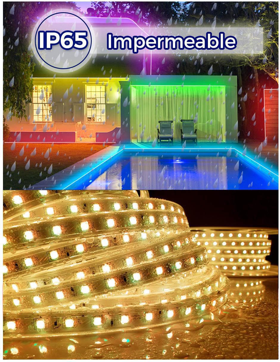Serie led con 1500 focos 4