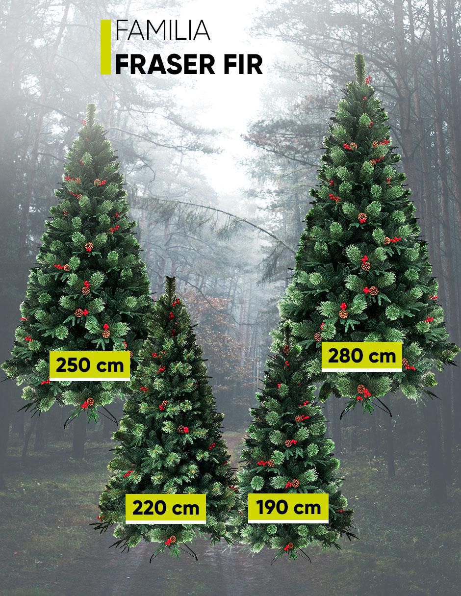 Árbol de navidad Fraser 3