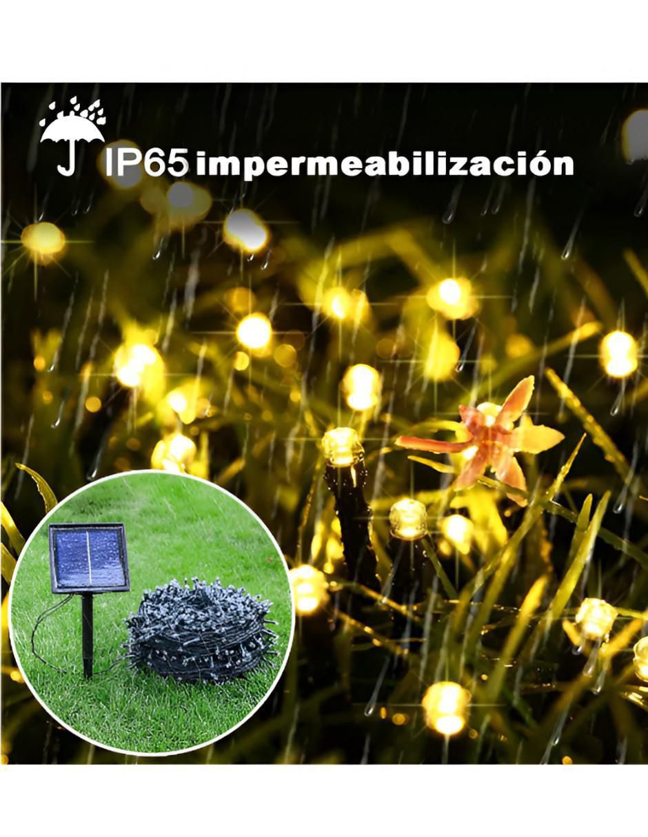 Serie de led con 200 focos 5