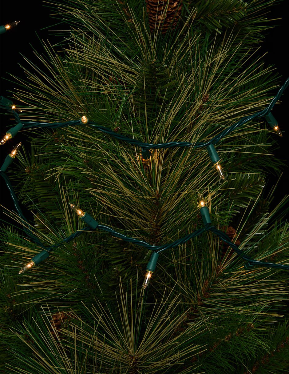 LUCES BLANCAS 100 FOCOS 4