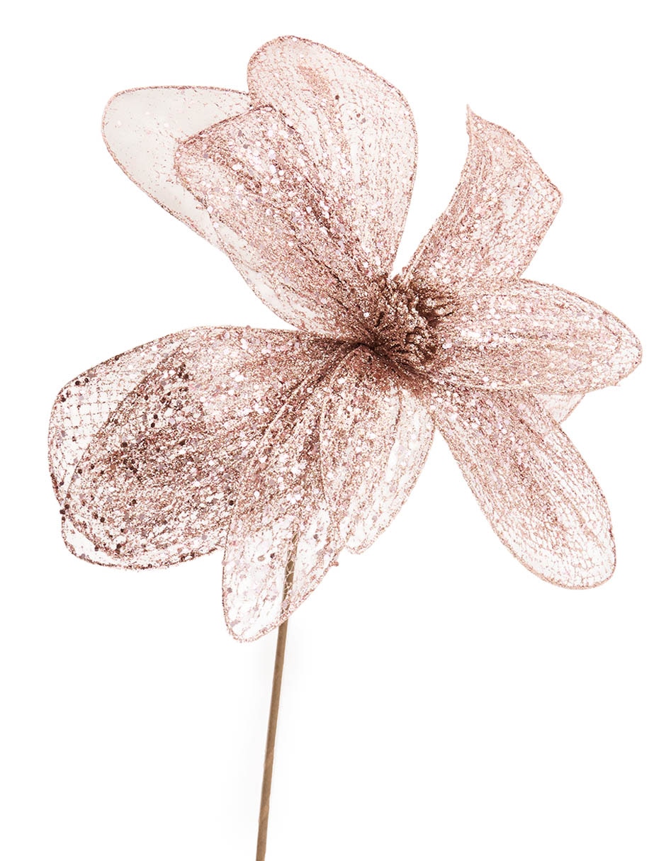 Magnolia decorativa 5