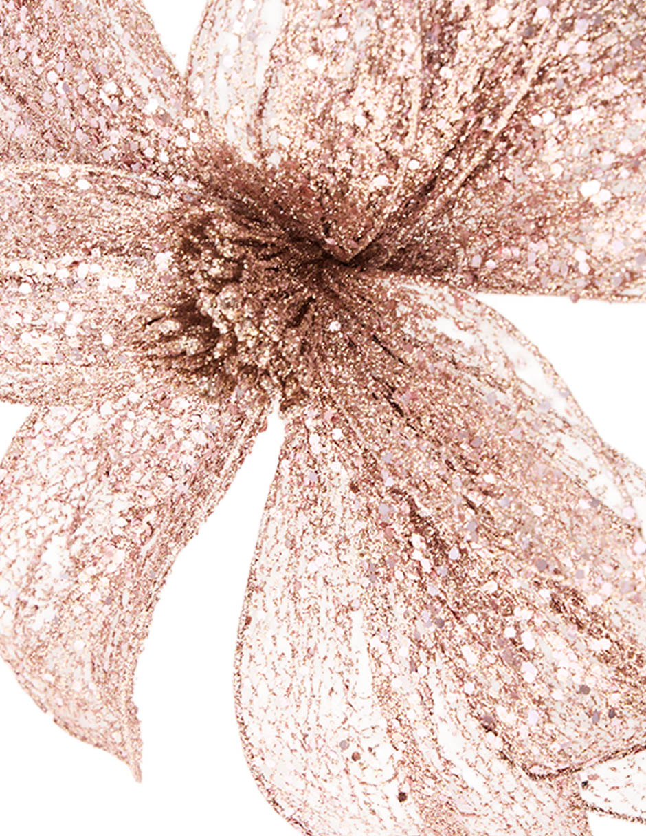 Magnolia decorativa 6