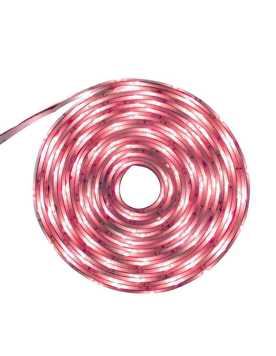 Rojo 2