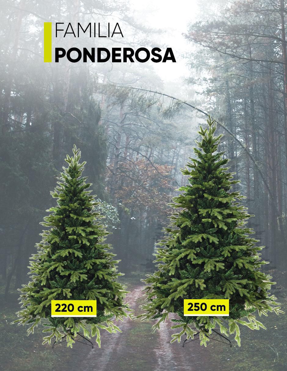 Árbol de navidad 7
