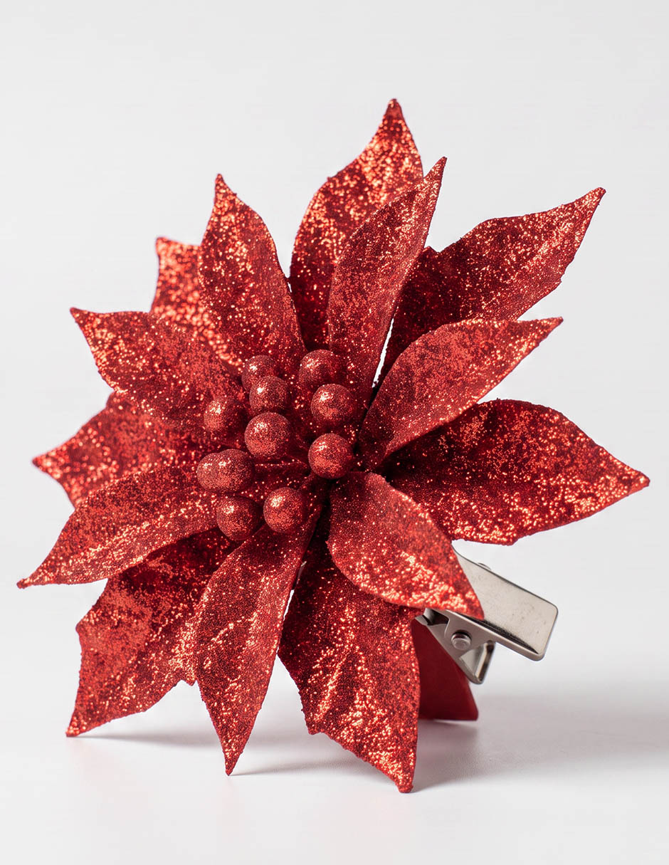 Set de ornamentos nochebuena 3