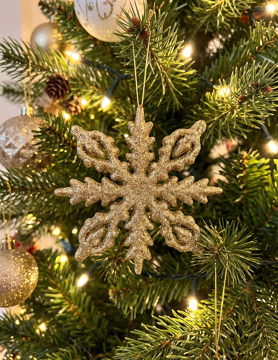 Set de ornamentos copo de nieve 4