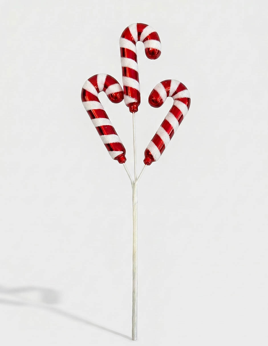 Ornamento 3