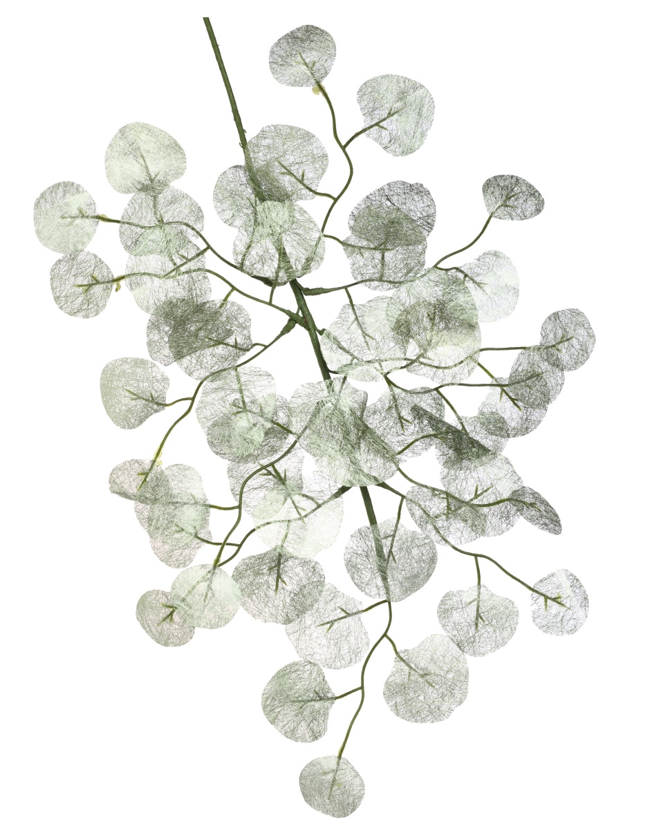 Verde selva