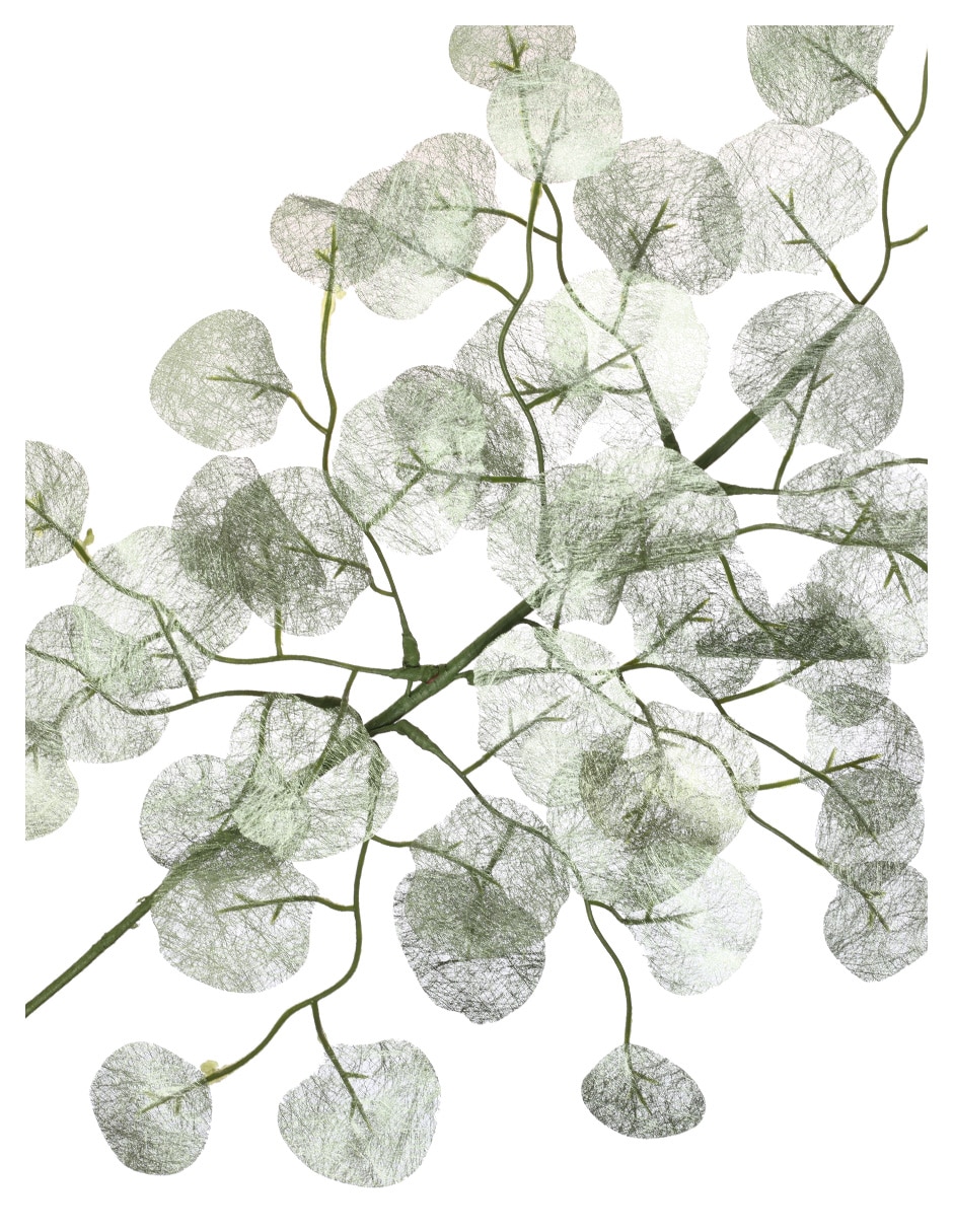 Verde selva
