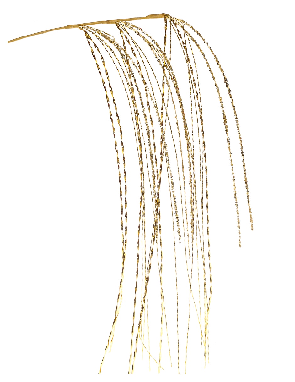 Dorado 6