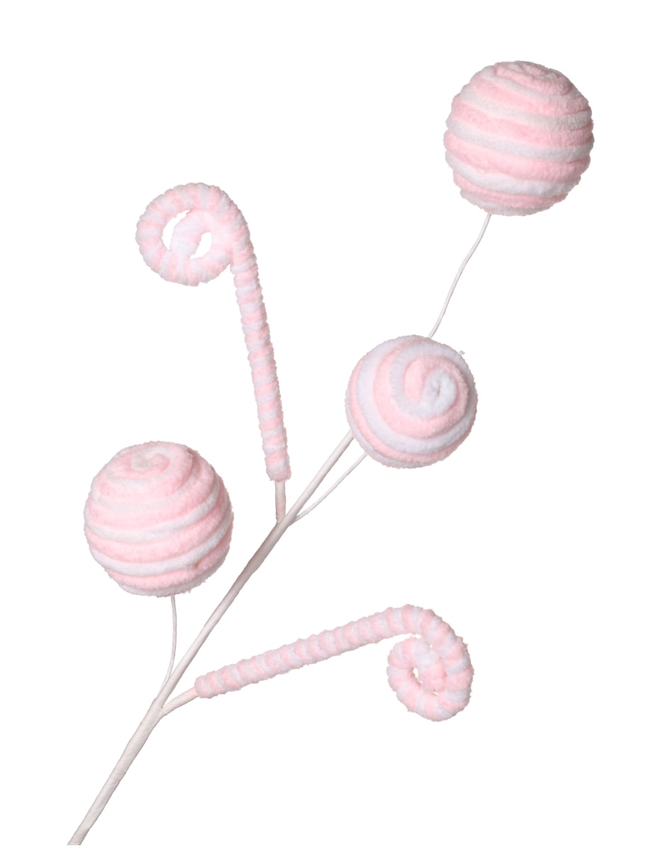 Rosa 2