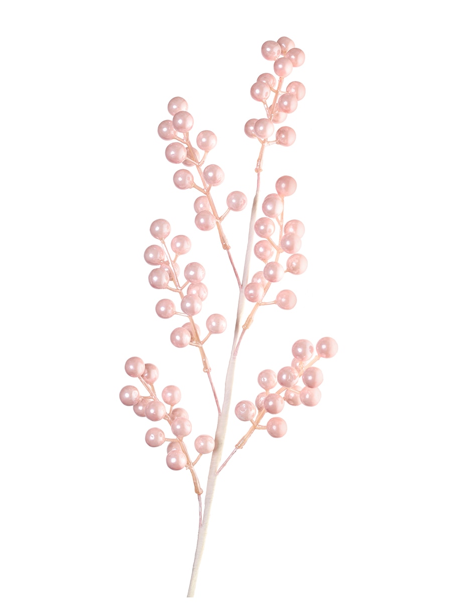 Rosa 3