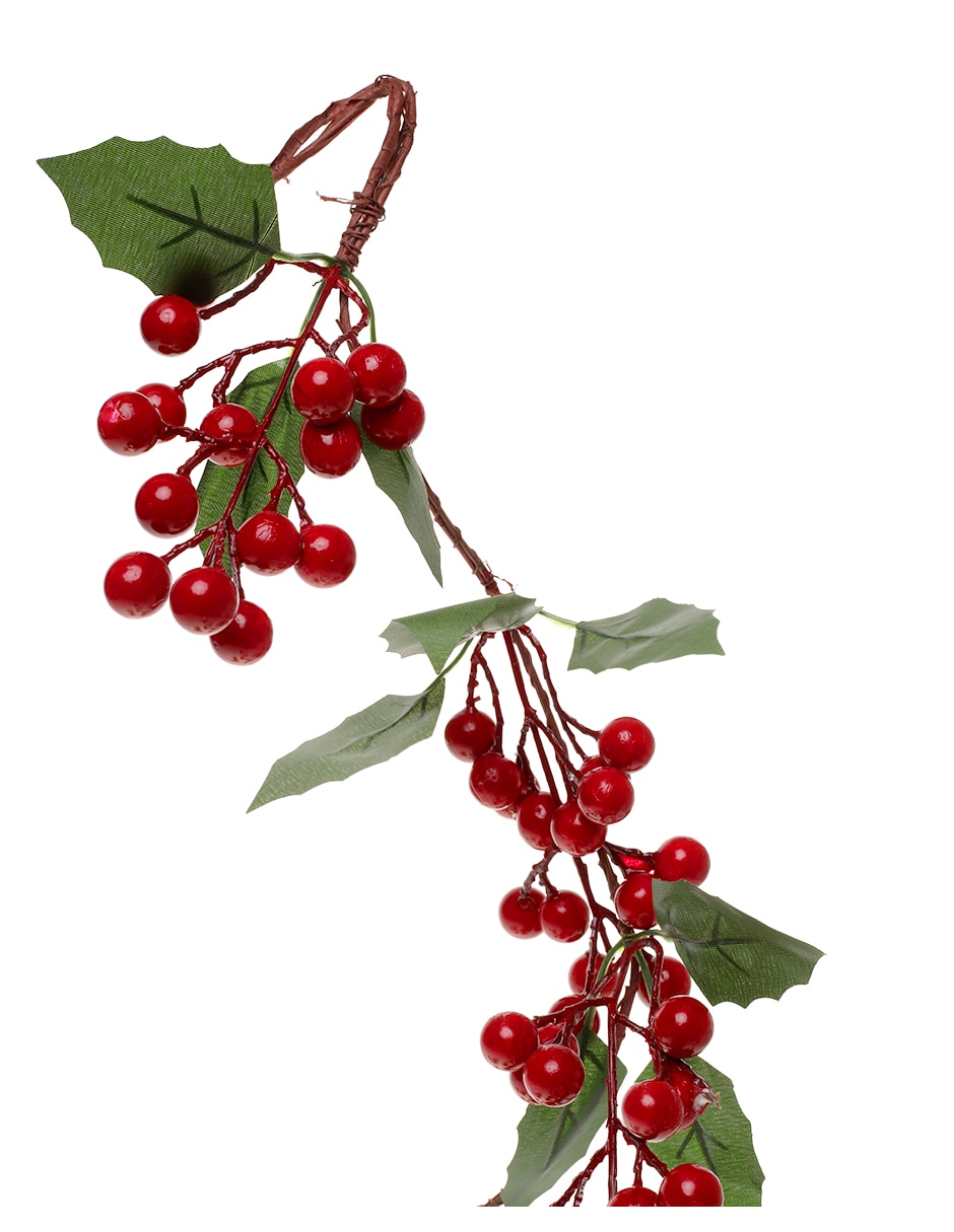 Guirnalda de diferentes especies con berries 125 cm 2
