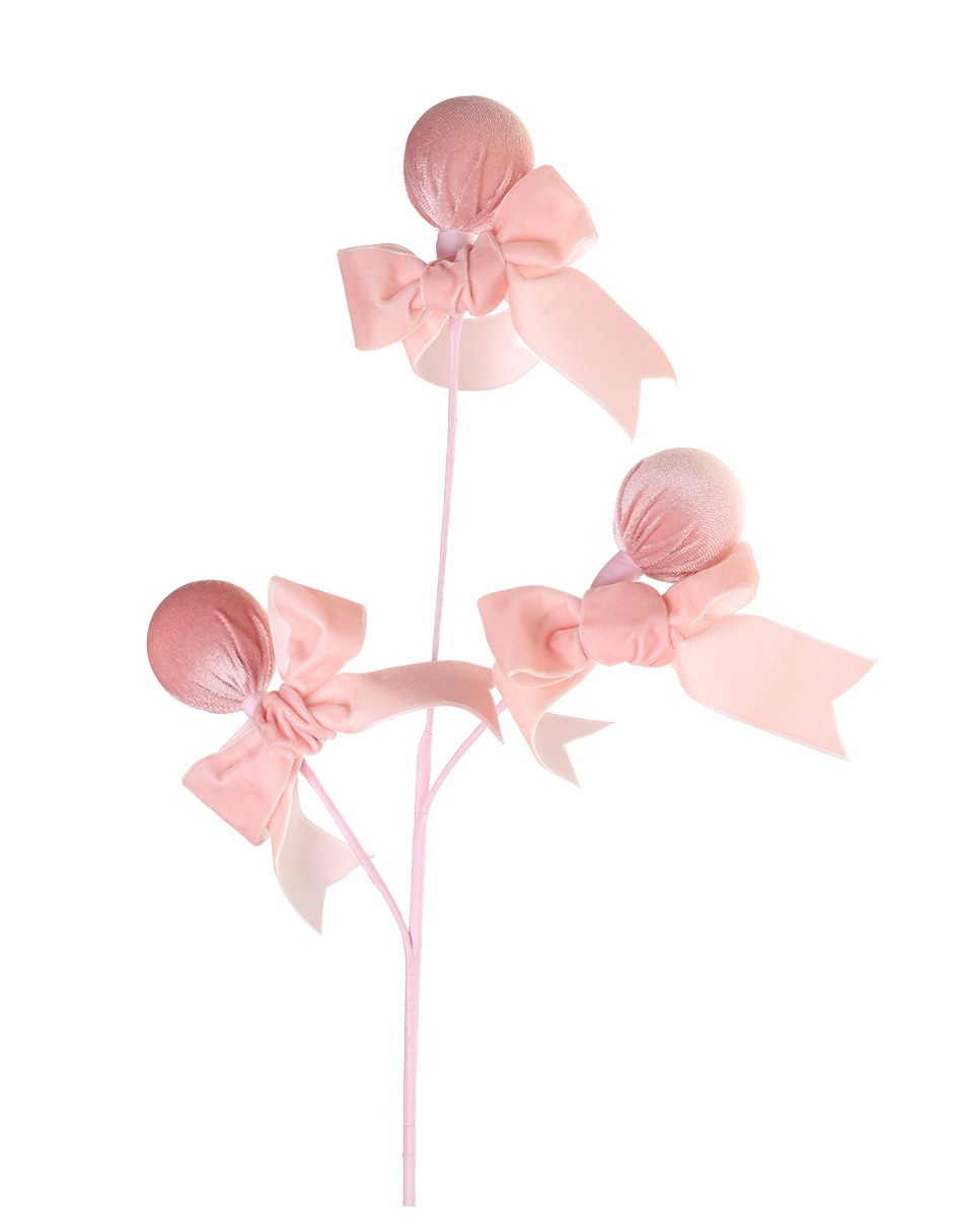 Rosa 4