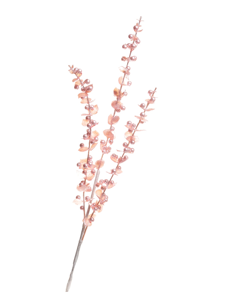Rosa 6