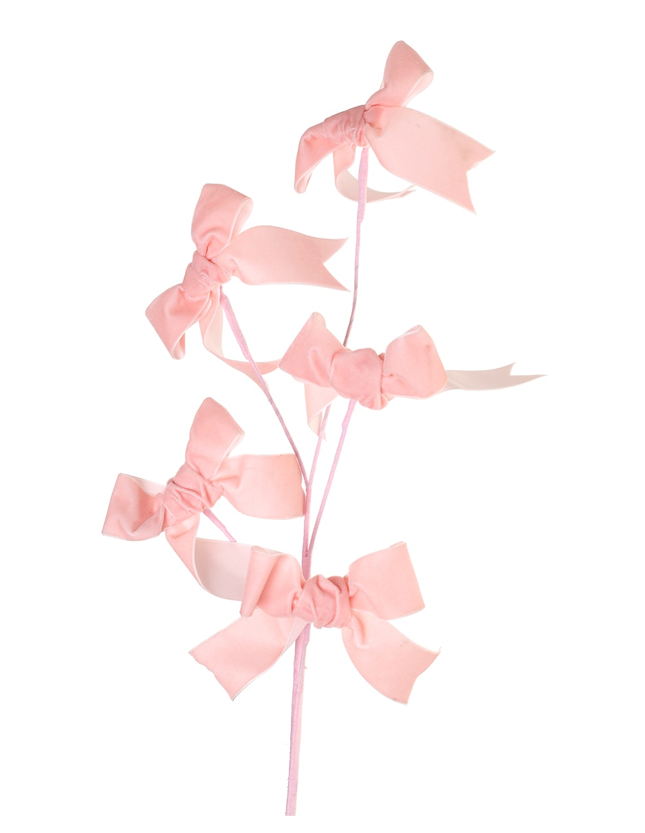 Rosa 6