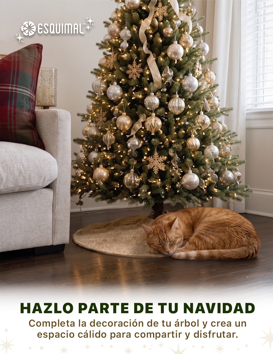 Pie de árbol 2