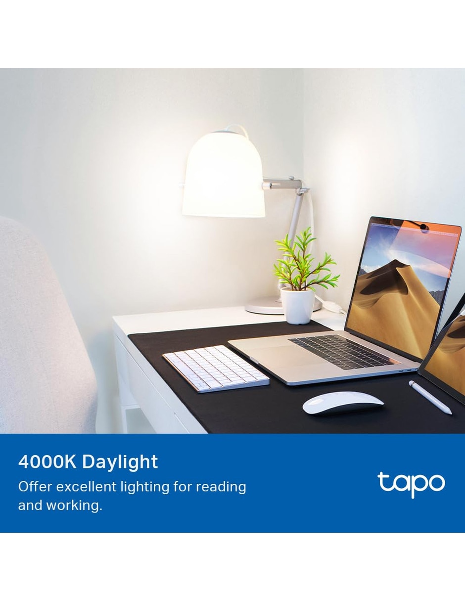 Serie led led 0810142821605 con 4 focos